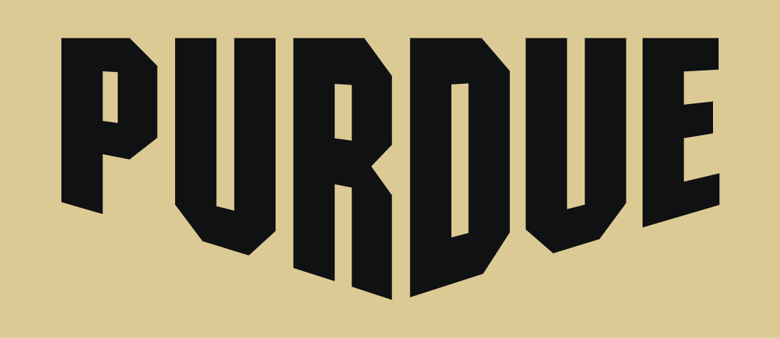 Purdue Boilermakers 2012-Pres Wordmark Logo v6 DIY iron on transfer (heat transfer)